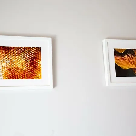 Desafios Da Horta مزرعة للإقامة *